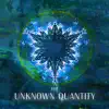 Todd Milne & Aaron Hein - The Unknown Quantity